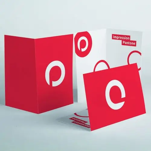 Carte 2 ou 3 volets impression Pantone 