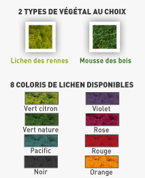 lettre et logo en vegetal